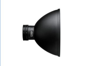Profoto Magnum reflector.